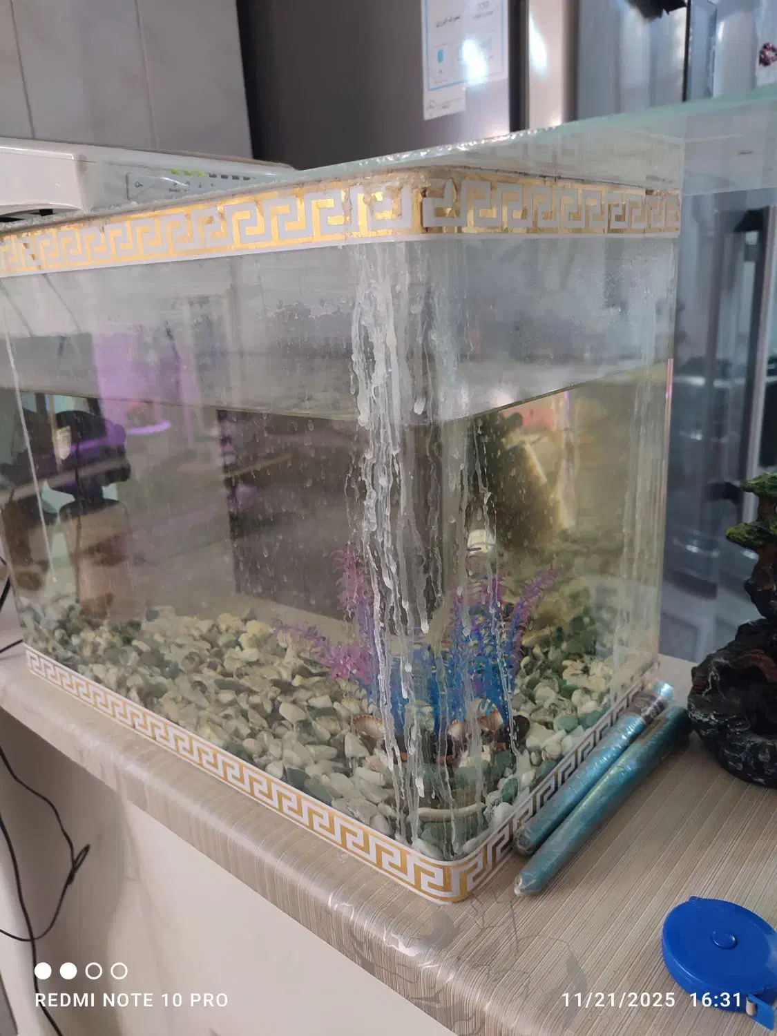 آکواریوم شیشه خم مفت|ماهی|تهران, افسریه شمالی|دیوار