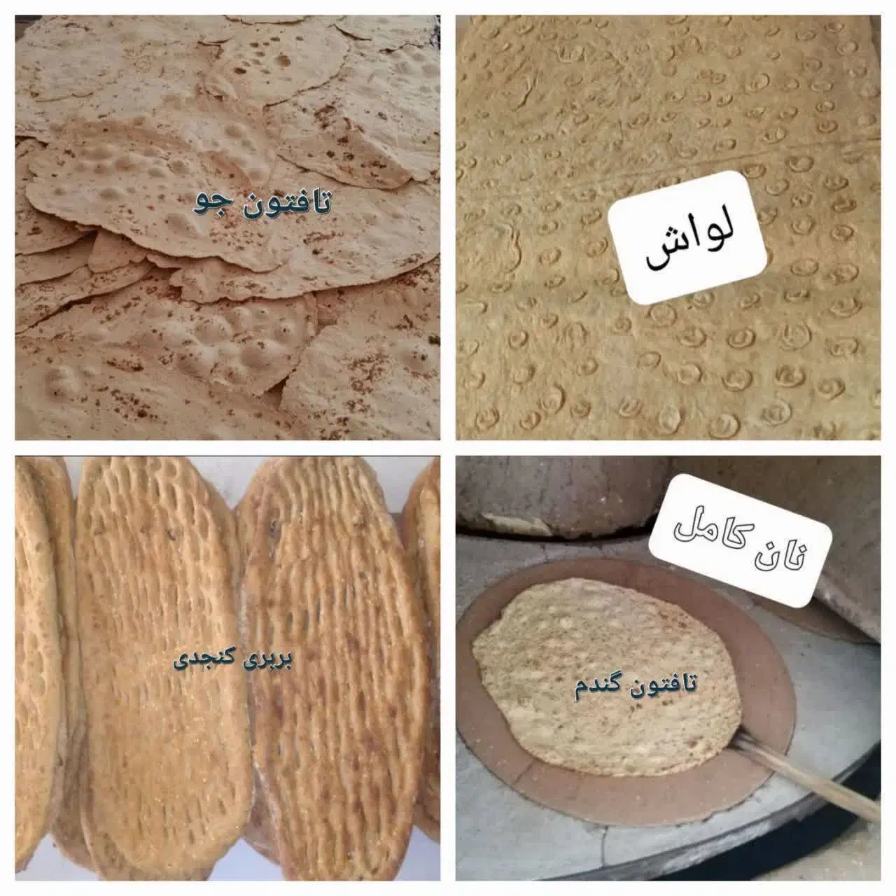 نان سالم و کامل (سبوسدار)|خوردنی و آشامیدنی|رشت, جهاد|دیوار