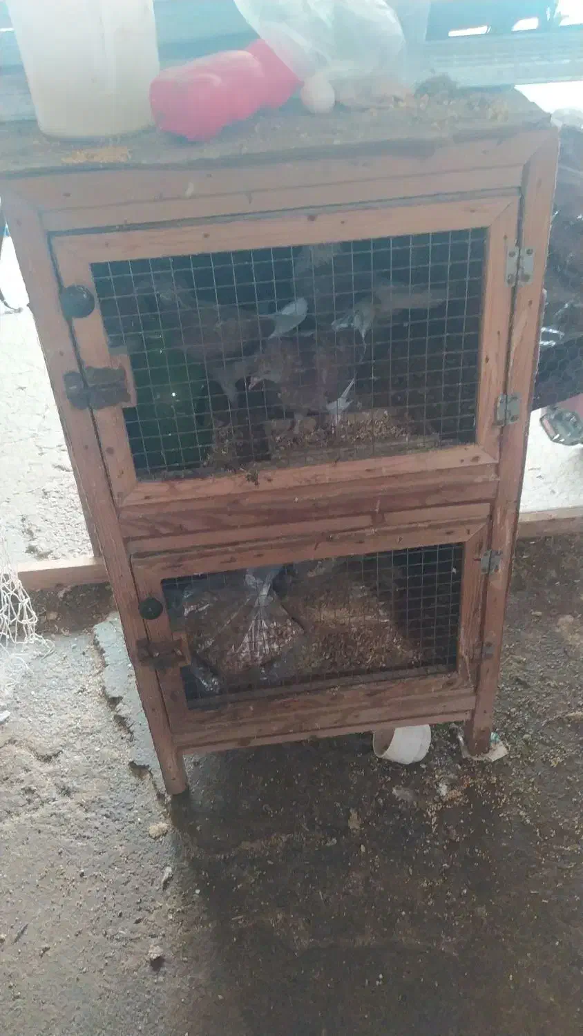 جفتگاه|لوازم جانبی حیوانات|پیربازار, |دیوار