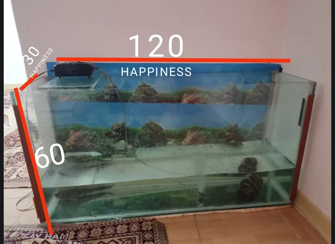 آکواریوم بزرگ|لوازم جانبی حیوانات|پاکدشت, شهرک امام رضا|دیوار