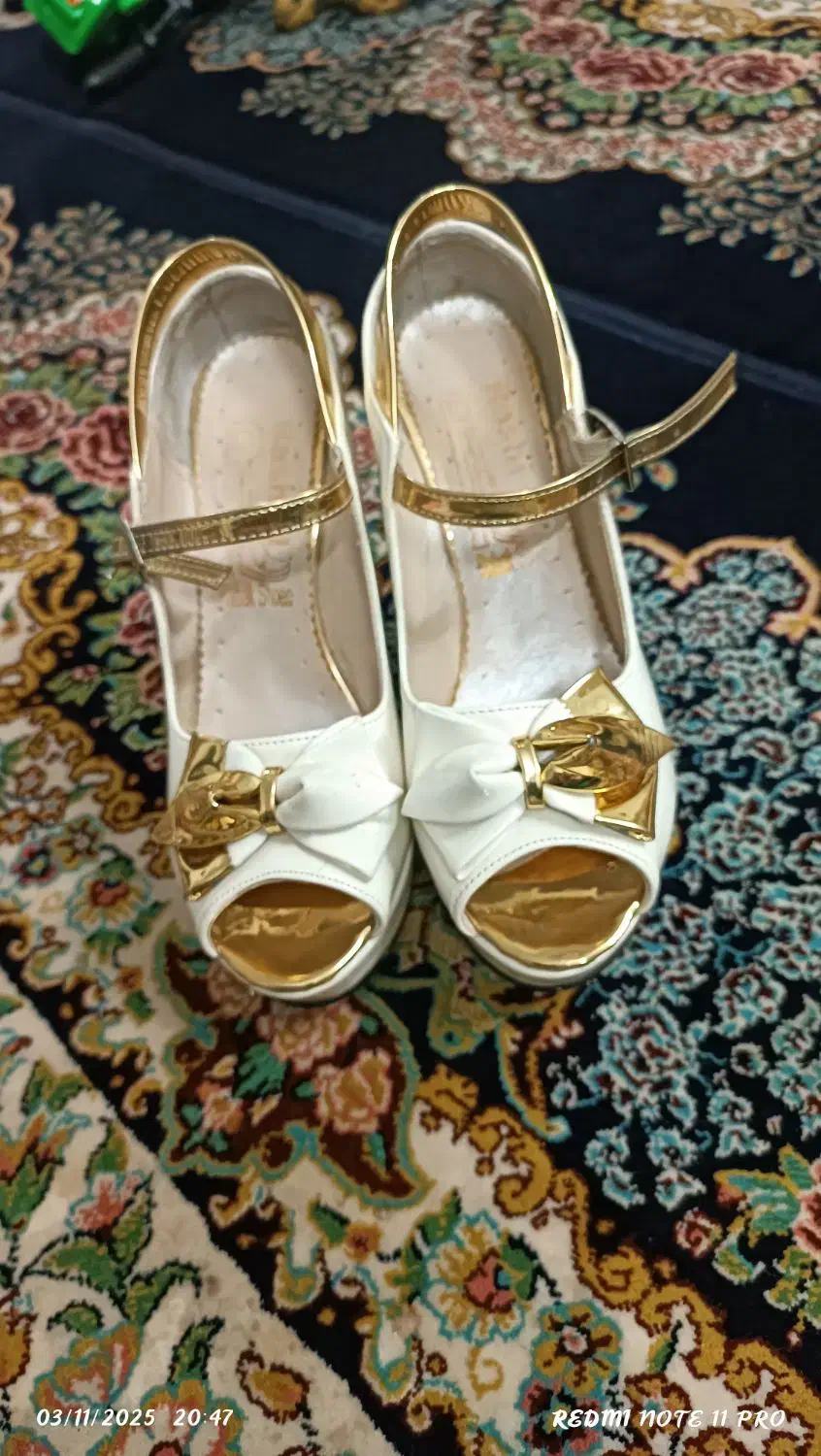 کفش مجلسی|کیف، کفش، کمربند|زنجان, |دیوار