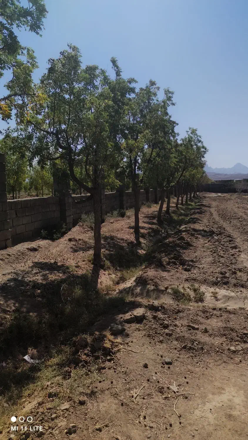 فروش باغ|فروش خانه و ویلا|خوسف, |دیوار