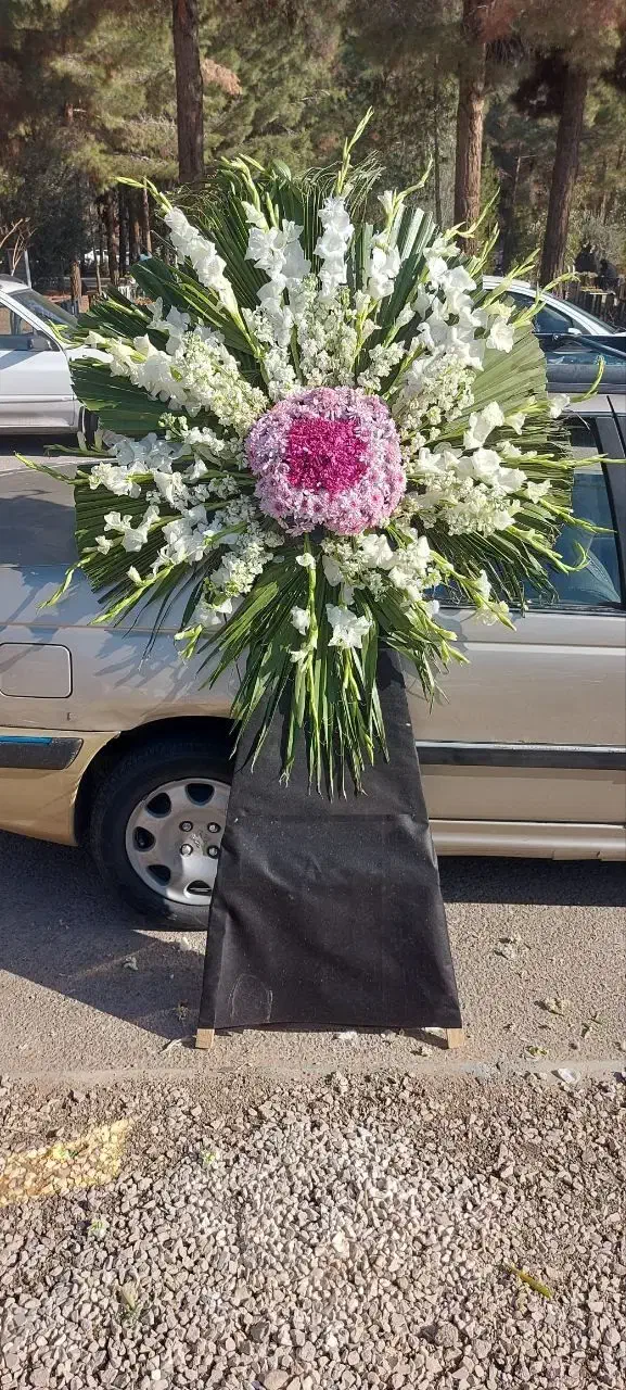 تاج گل|گل و گیاه طبیعی|اصفهان, مرداویج|دیوار