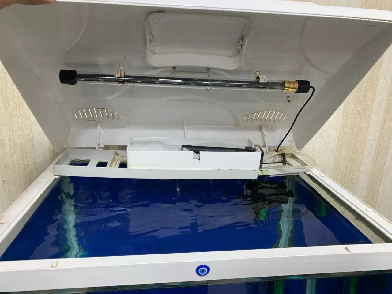 آکواریوم|ماهی|خرم‌آباد, |دیوار