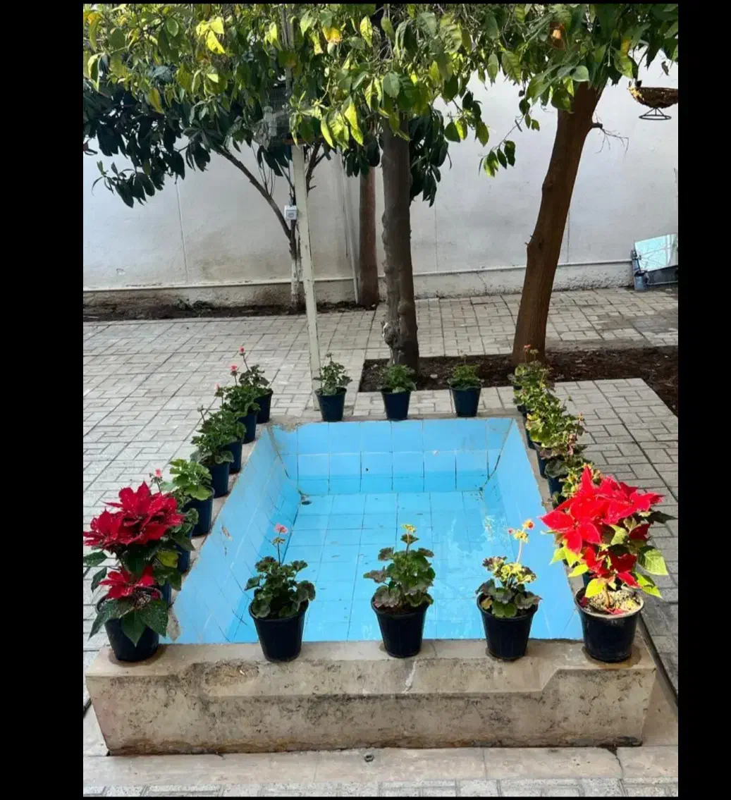 خوابگاه دخترانه|اجارهٔ کوتاهمدت آپارتمان و سوئیت|شیراز, وصال|دیوار