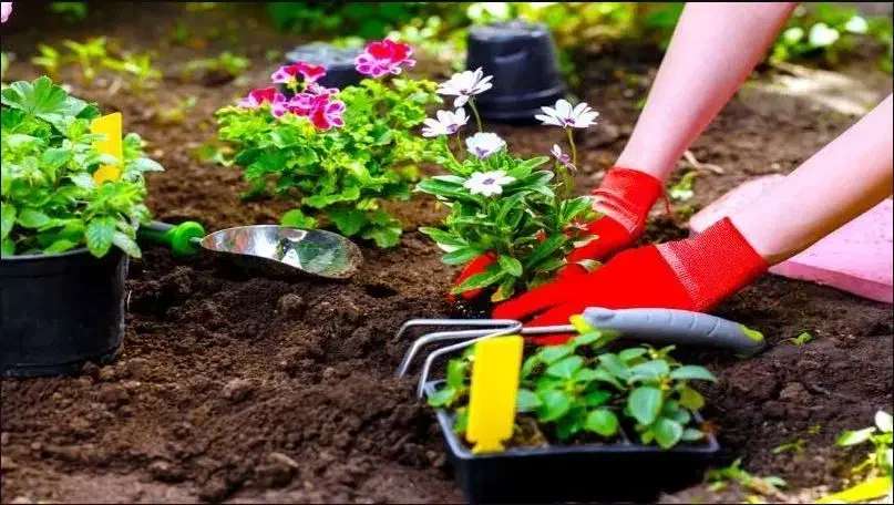 استخدام کارگر دائمی|استخدام صنعتی، فنی، مهندسی|قم, زنبیل آباد|دیوار