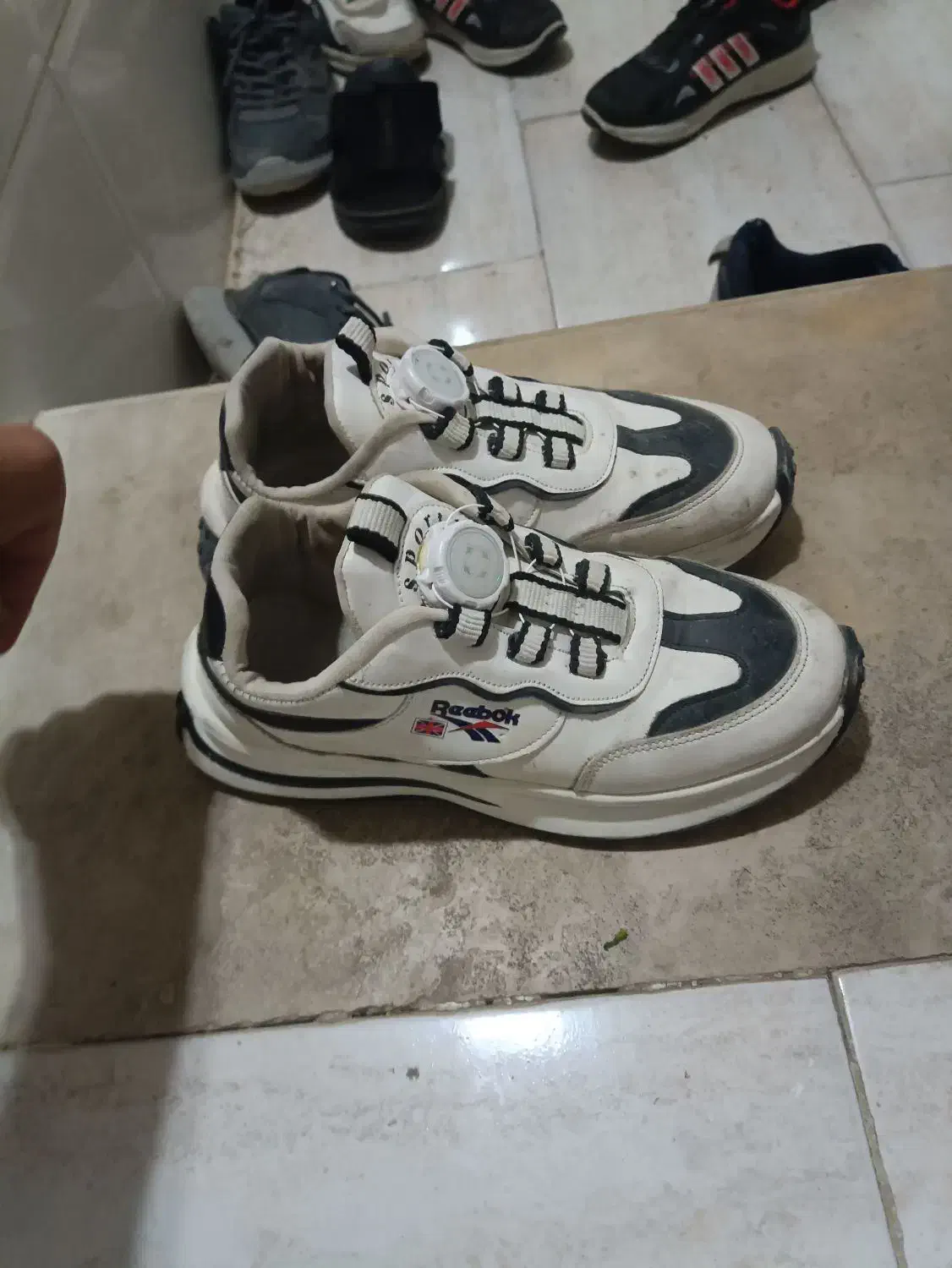 کفش|کیف، کفش، کمربند|کازرون, |دیوار