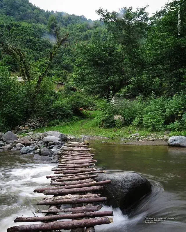 نظر بدید|فعالیت داوطلبانه|شاهینشهر, فردوسی|دیوار