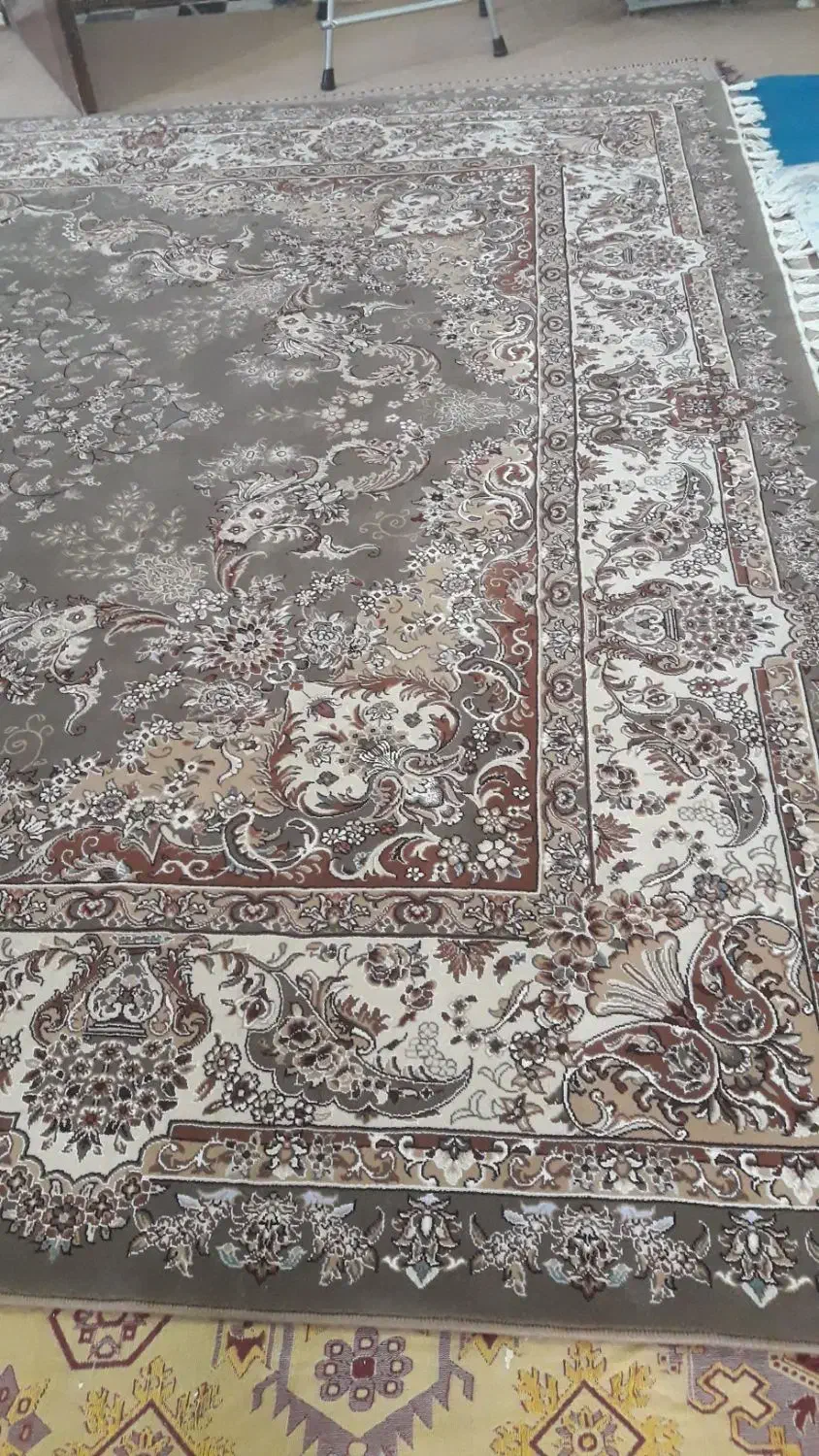 فرش ۱۲متری رنگ گردویی نونو|فرش|بروجرد, |دیوار