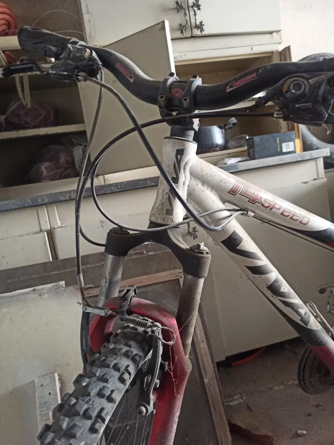 دوچرخه حرفه ای ویوا|دوچرخه، اسکیت، اسکوتر|گرگان, |دیوار