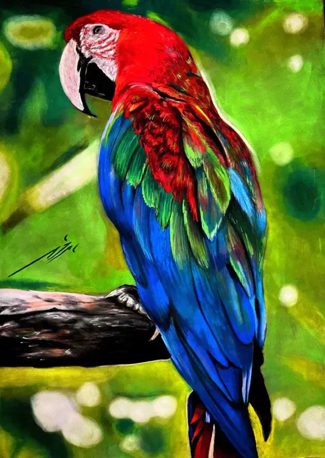 طوطی|تابلو، نقاشی، عکس|شیراز, ابیوردی|دیوار