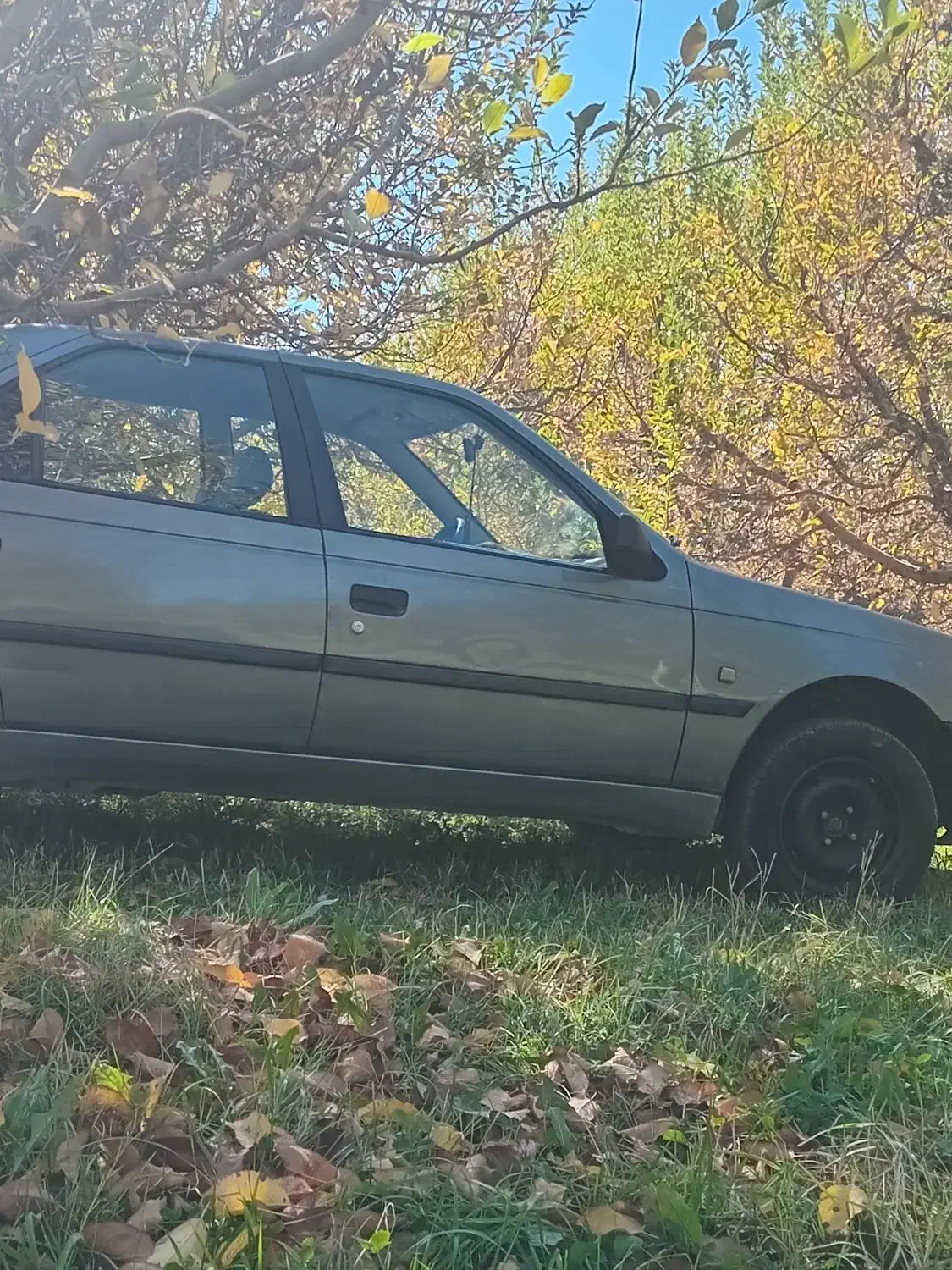 ۴۰۵ تمام فابریک عتیقه|خودرو سواری و وانت|نالوس, |دیوار