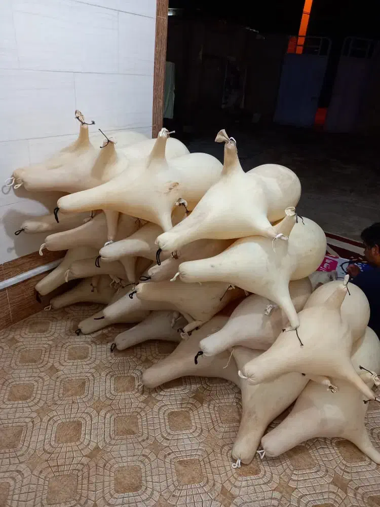 نی انبان|سازهای سنتی|یزد, |دیوار