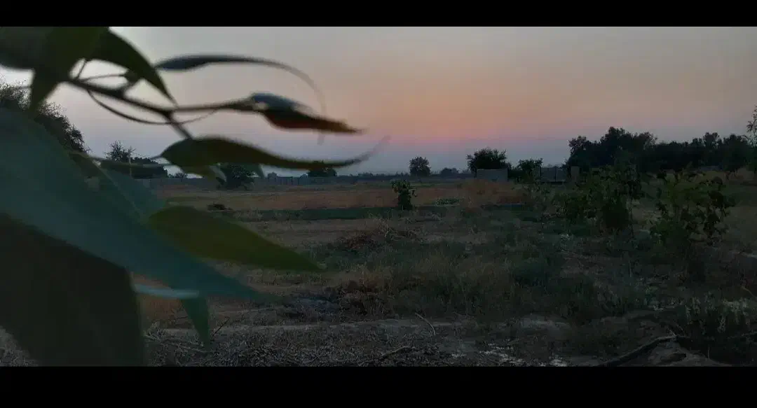 فروش زمین ۳۰۰ متری|فروش زمین و ملک کلنگی|شوشتر, |دیوار