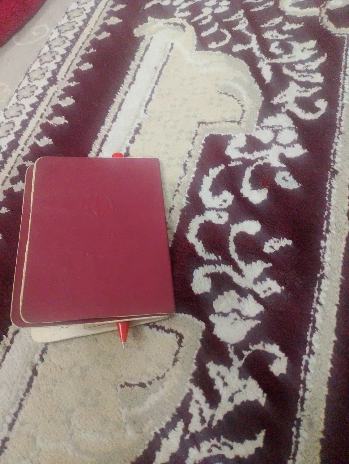مدارک گم شده|اشیا|سبزوار, شهرک ابوذر|دیوار
