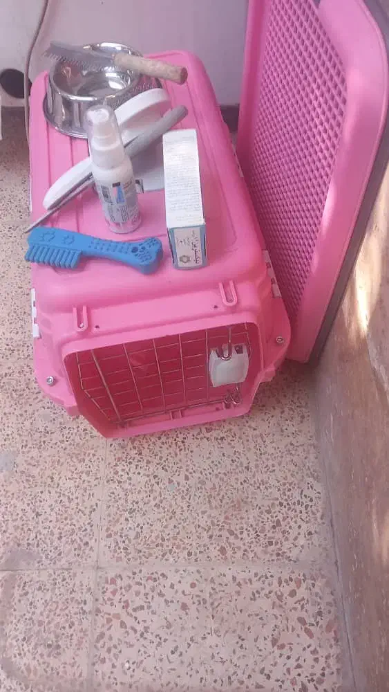 لوازم مصرفی  پت|لوازم جانبی حیوانات|باغستان, |دیوار