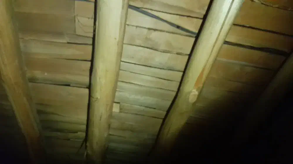 خرید و فروش چوب خشک و تر قاسمی.|خدمات باغبانی و درختکاری|ارومیه, |دیوار