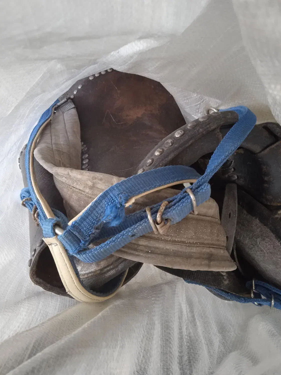 زین اسب|اسب و تجهیزات اسب‌سواری|سنندج, |دیوار