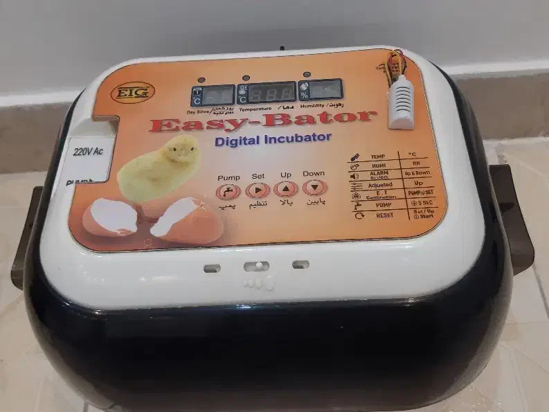 جوجه کشی|لوازم جانبی حیوانات|کرج, شهرک ولیعصر|دیوار