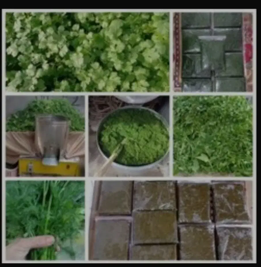 سبزی|خوردنی و آشامیدنی|اهواز, شهرک پیام|دیوار