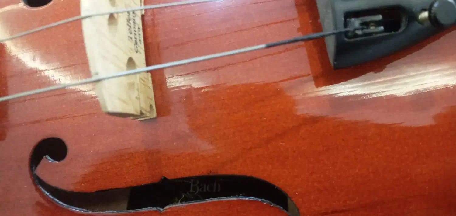 ویلون باخ آک|ویولن|مشهد, سپاد|دیوار