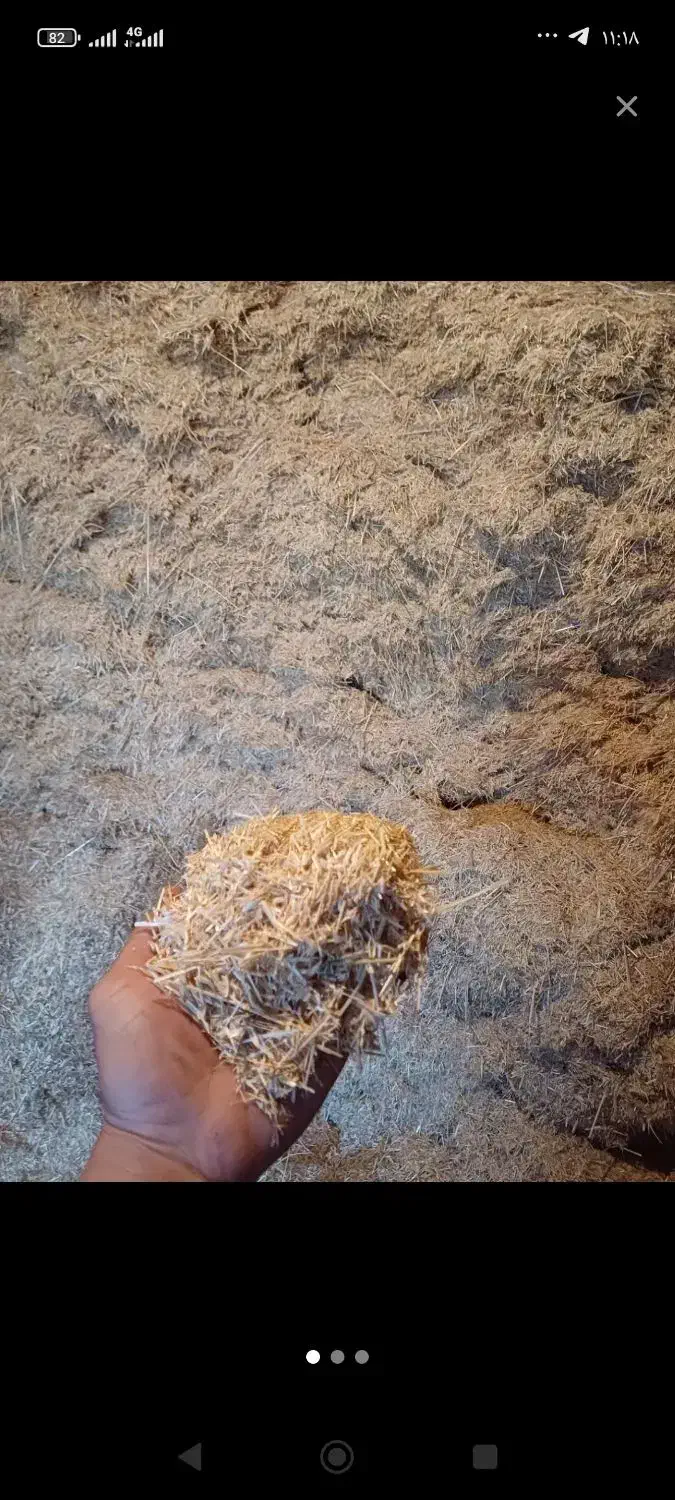 کاه|لوازم جانبی حیوانات|فاروج, |دیوار