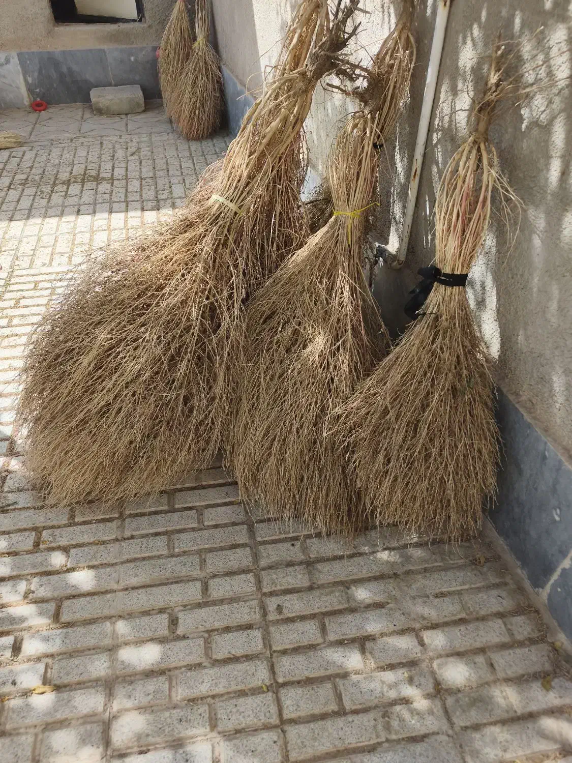 جارو کشمونی|لوازم نظافت|بیرجند, |دیوار