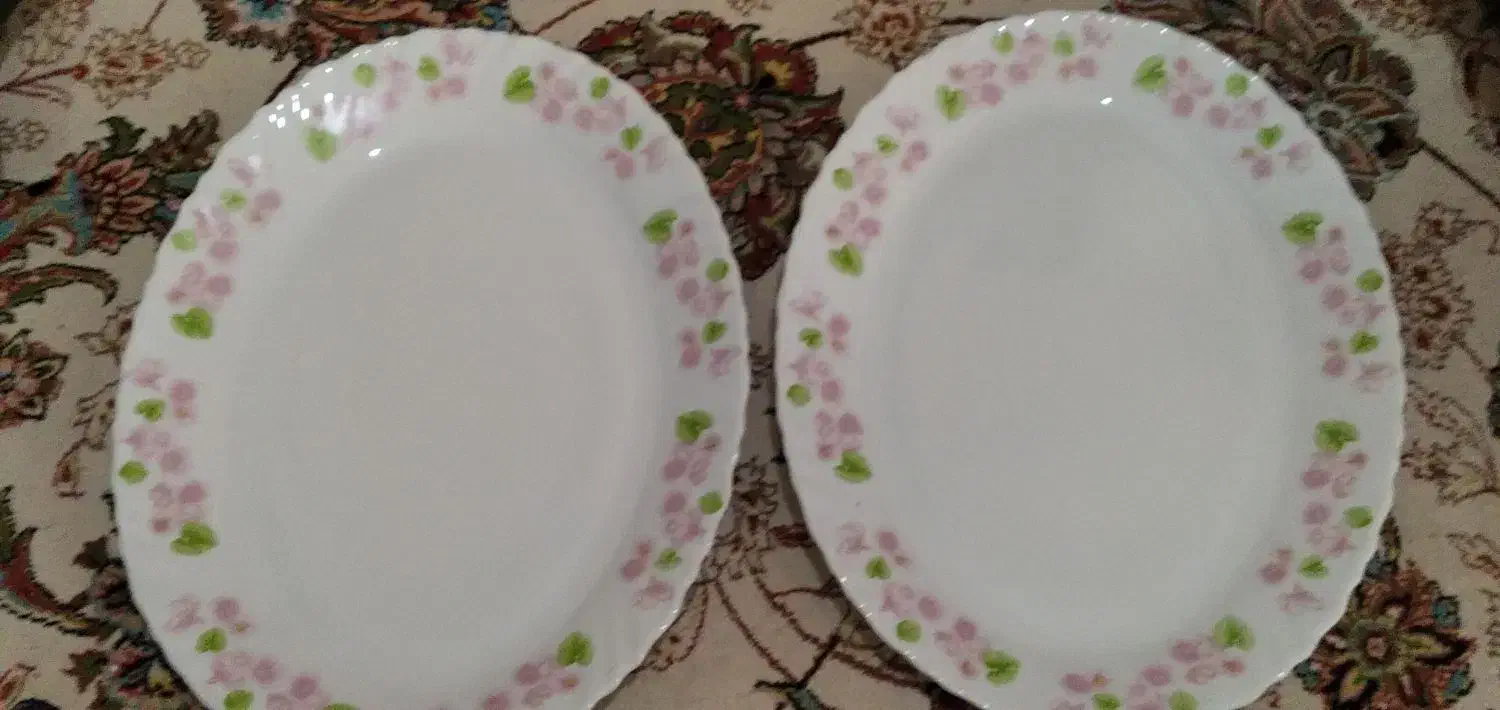 تعدادی ظروف چینی دو دیس ارکوپال|ظروف سرو و پذیرایی|اصفهان, کنگاز|دیوار