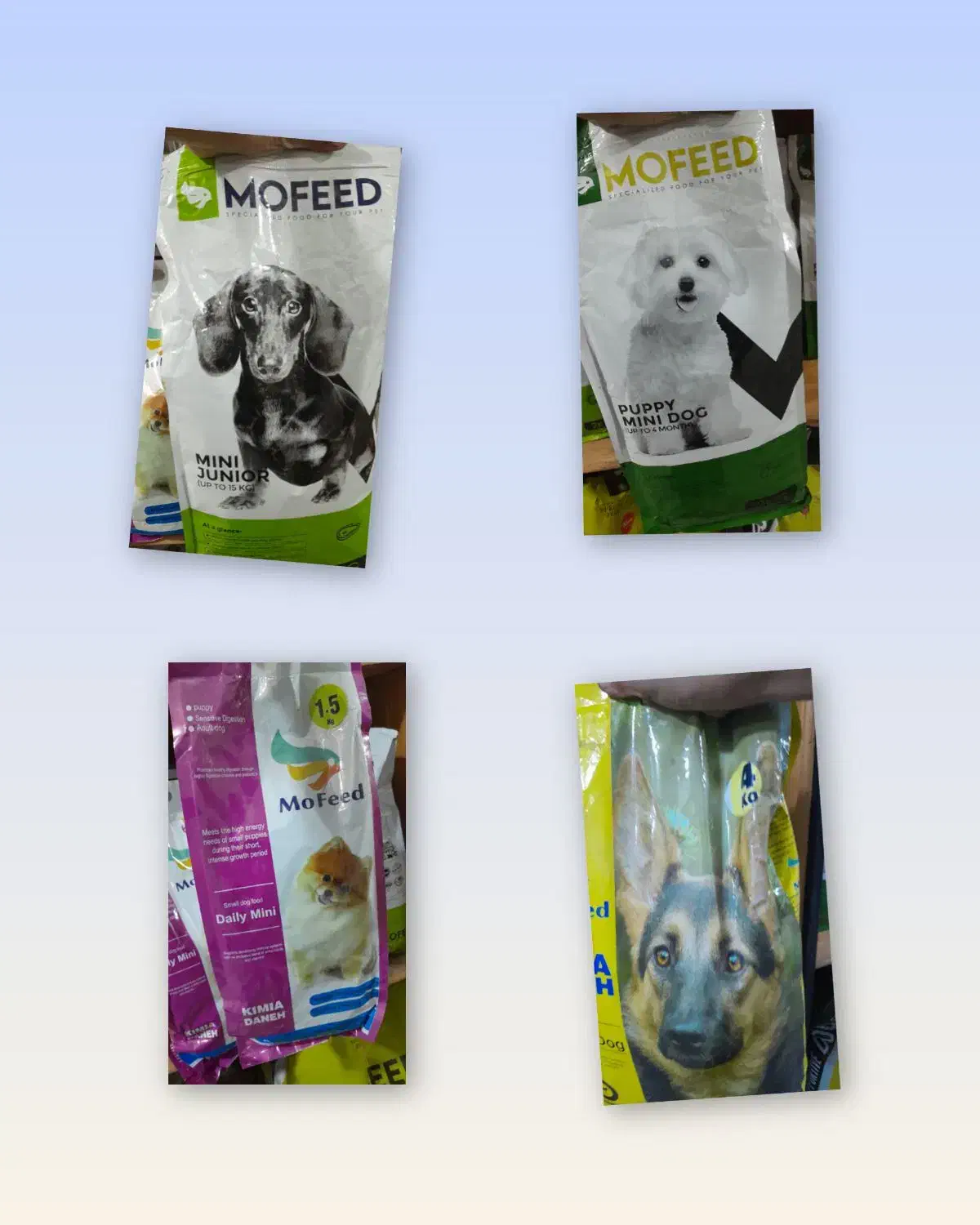 پت شاپ ماهور|لوازم جانبی حیوانات|تهران, افسریه شمالی|دیوار