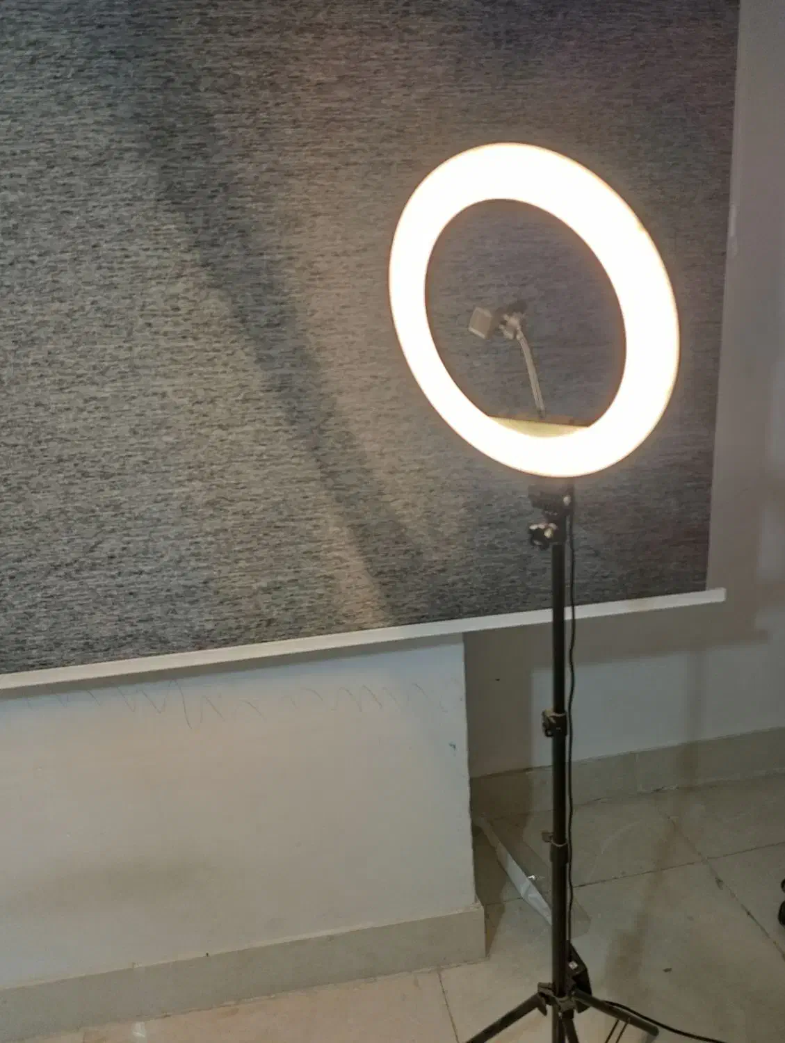 رینگ لایت|دوربین عکاسی و فیلمبرداری|مشهد, ابوذر|دیوار