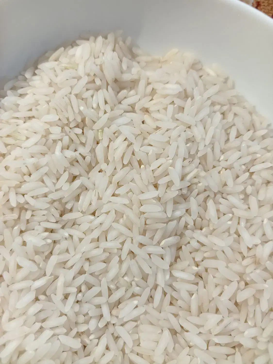 برنج بینام کشت دوم|خوردنی و آشامیدنی|بابل, |دیوار