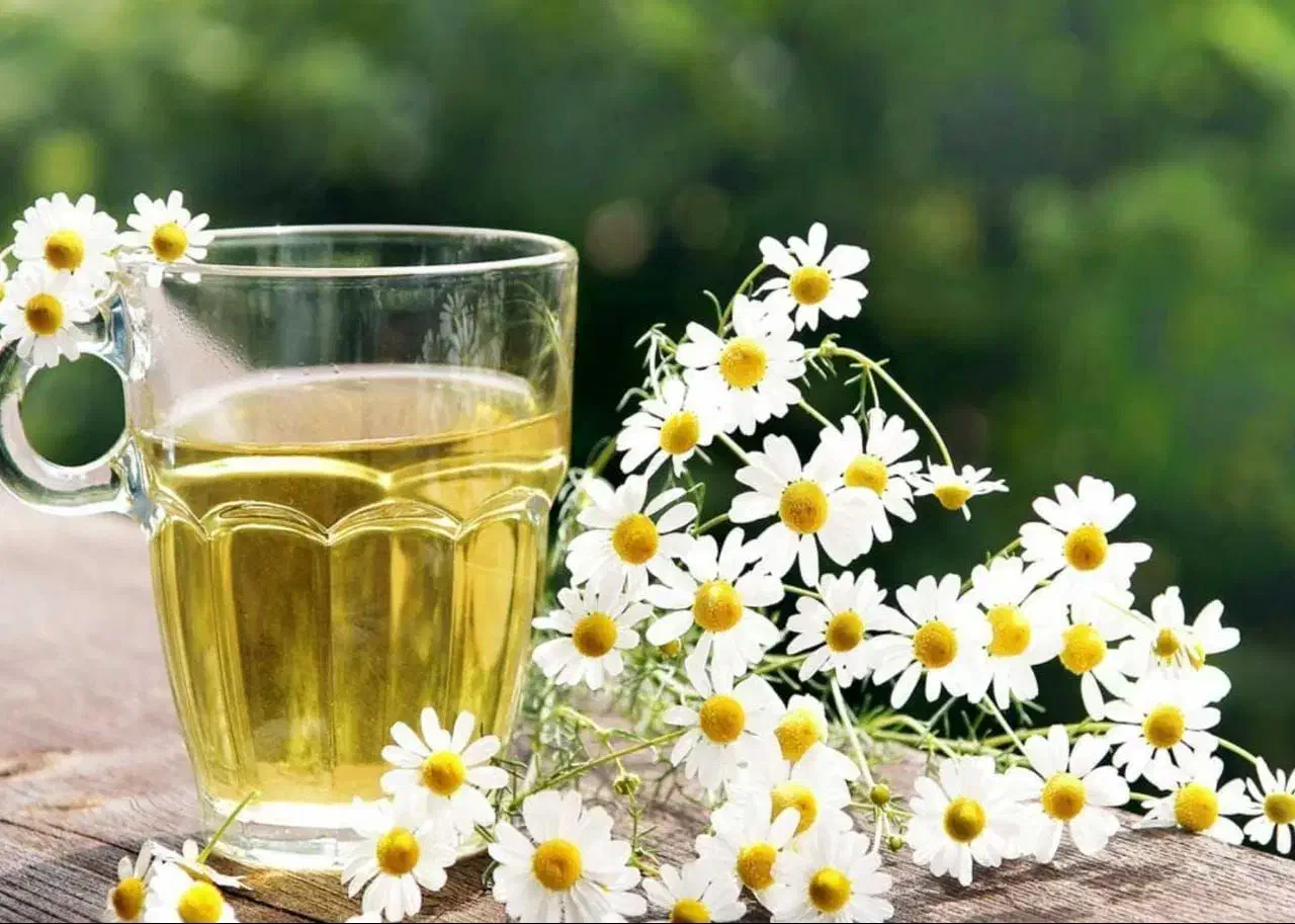 کار ودرمان با گیاهان دارویی صدرصد خالص و طبیعی|استخدام بازاریابی و فروش|تایباد, |دیوار