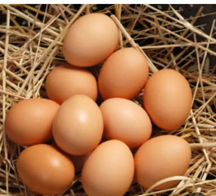 تخم مرغ|خوردنی و آشامیدنی|صومعهسرا, |دیوار