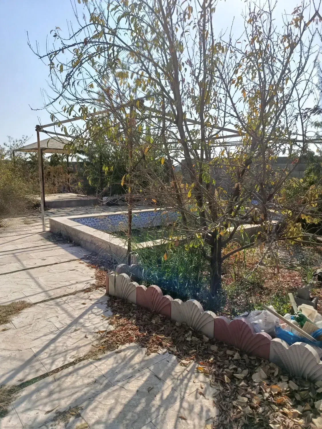 باغ با درخت قدیمی سند دار جیتو تبرئه کشاورزی|فروش خانه و ویلا|پاکدشت, پاکدشت (مامازند)|دیوار