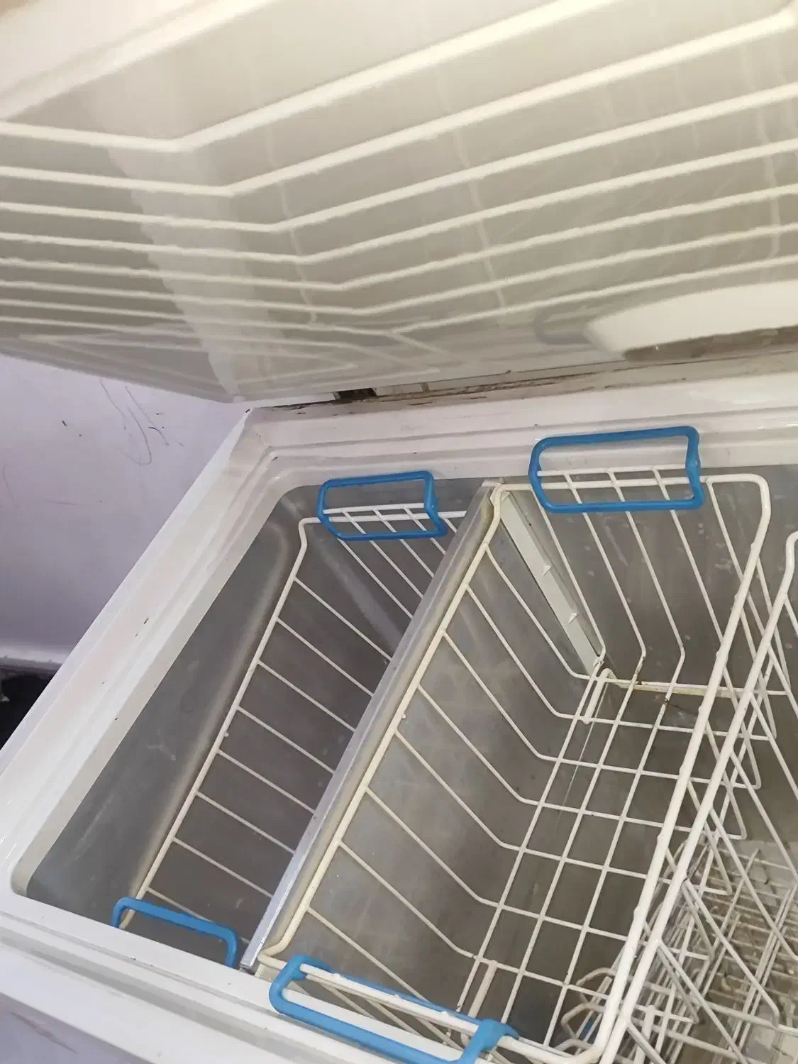 فریزر سالم هیمالیا|یخچال و فریزر|باوی, |دیوار