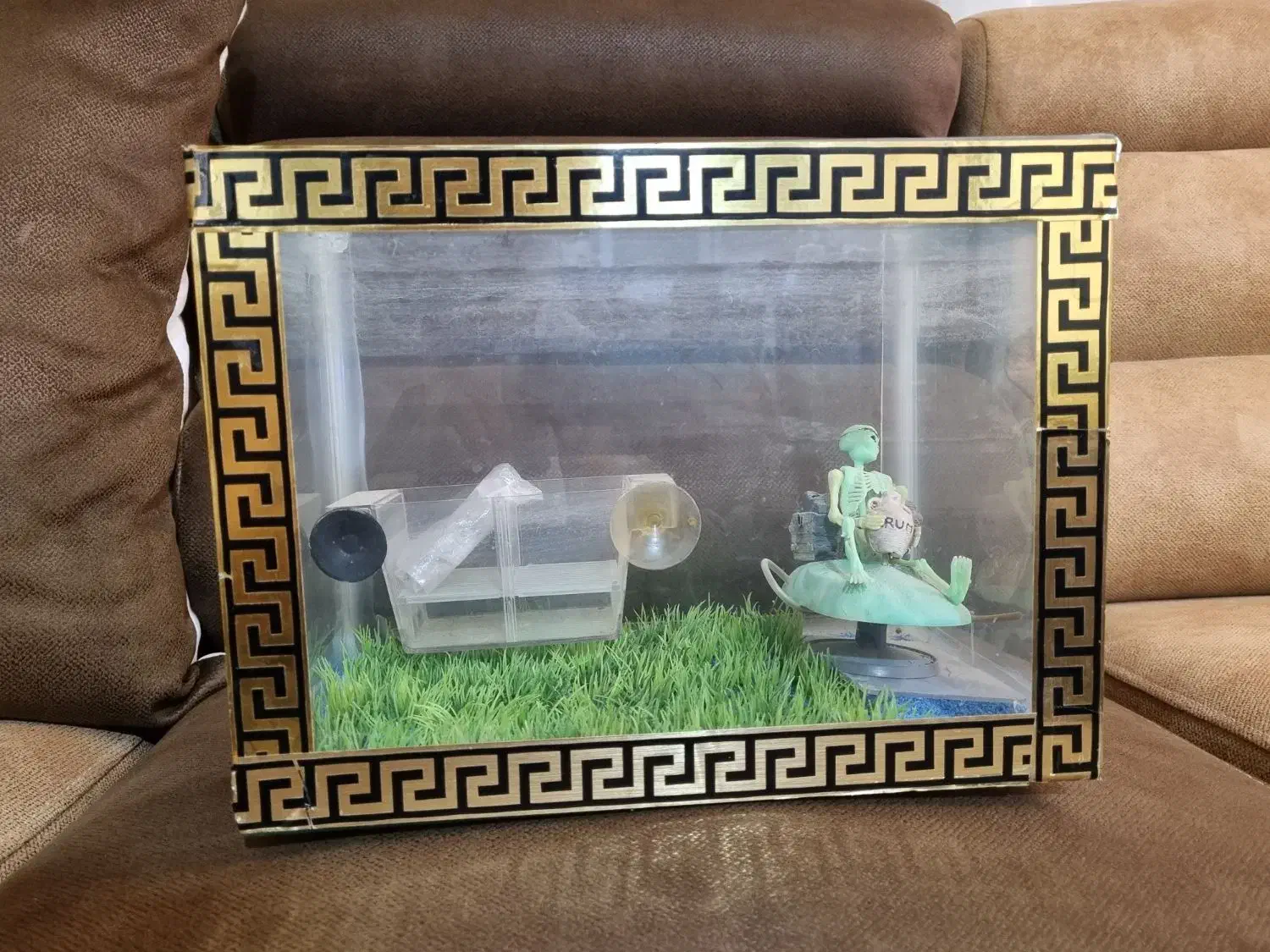 آکواریوم کوچیک رومیزی|ماهی|پرند, فاز ۲|دیوار