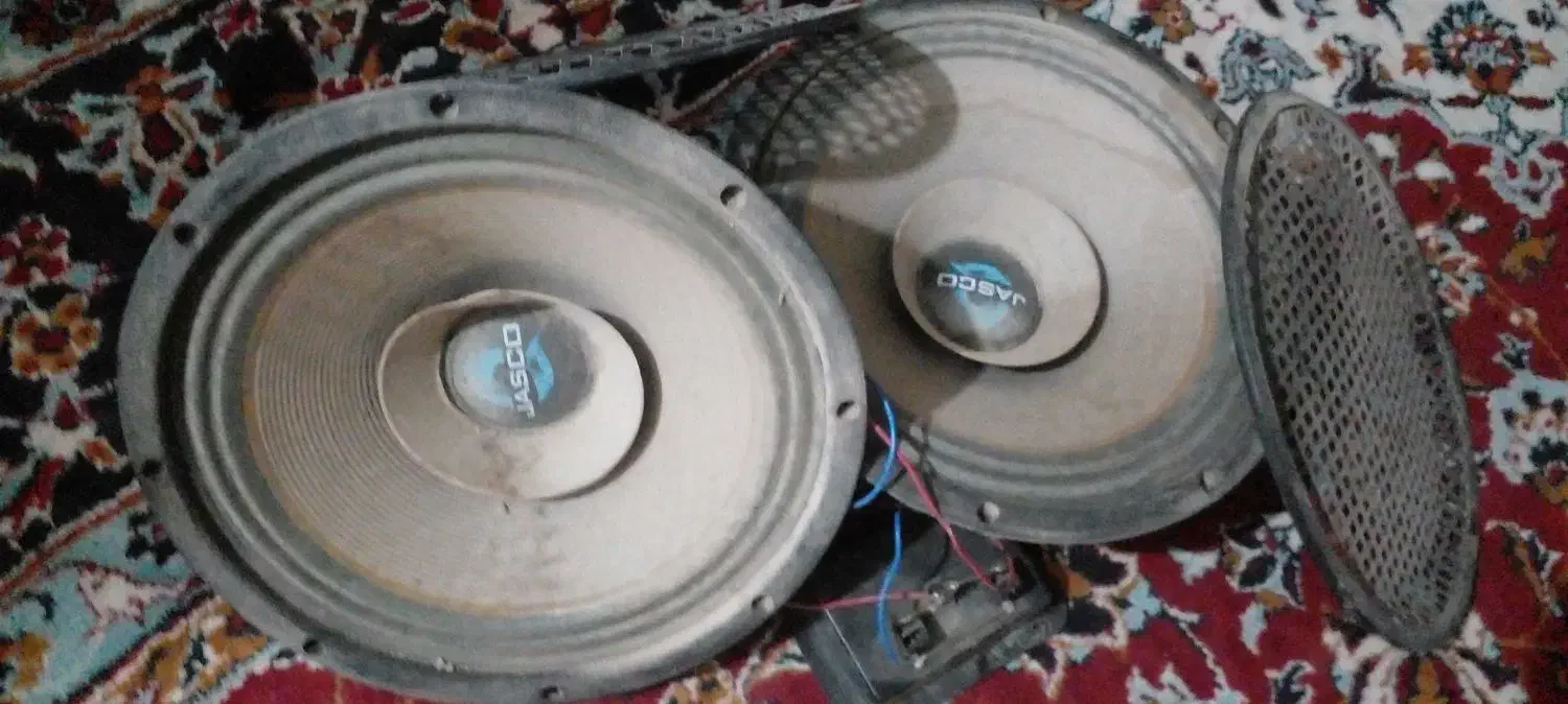 باندها دهنه خیلی بزرگ ویک جوجه مینا|حراج|تربت جام, حافظ|دیوار