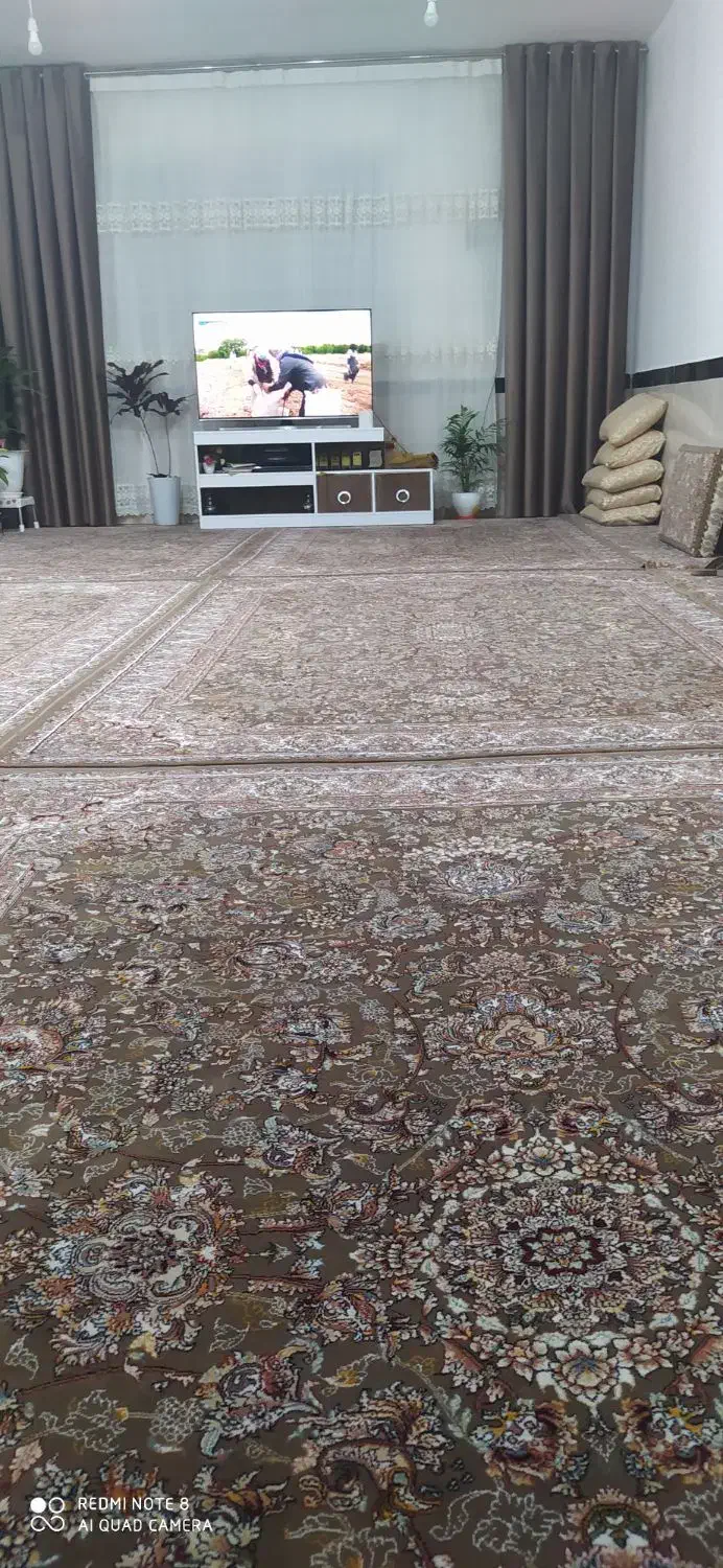 فرش|فرش|مریوان, |دیوار