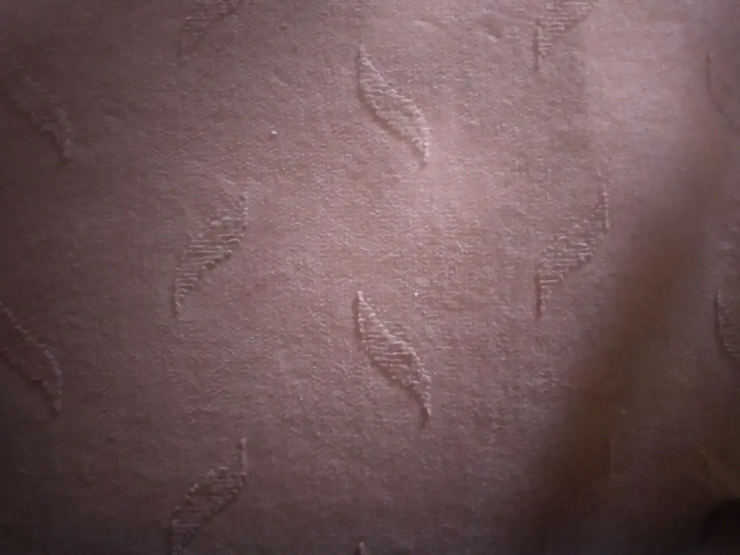 موکت ۵۰ متر|موکت|زنجان, |دیوار