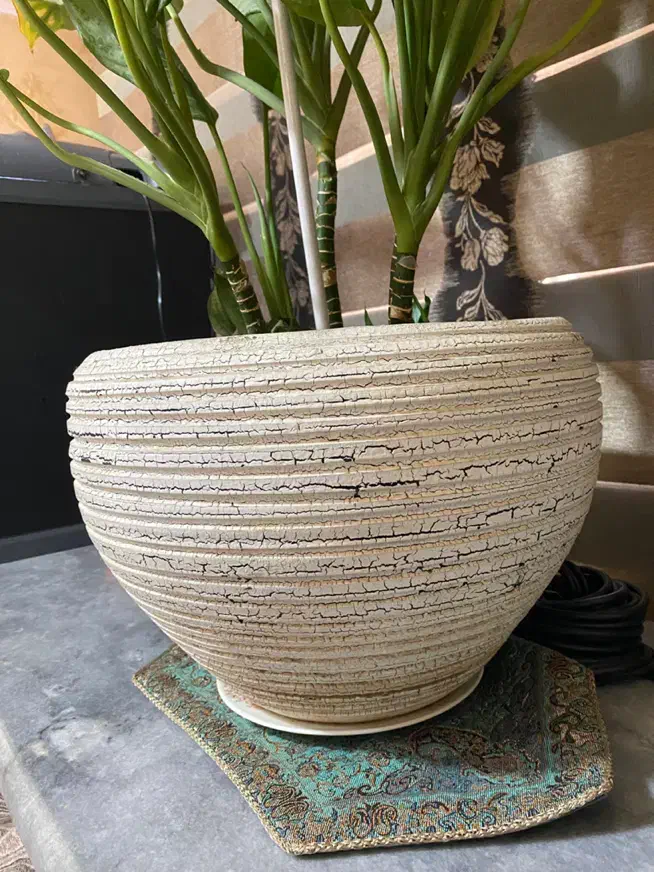 گلدان بزرگ سفید ۲عدد معاوضه با ماهی آکواریوم|گل و گیاه طبیعی|تبریز, |دیوار