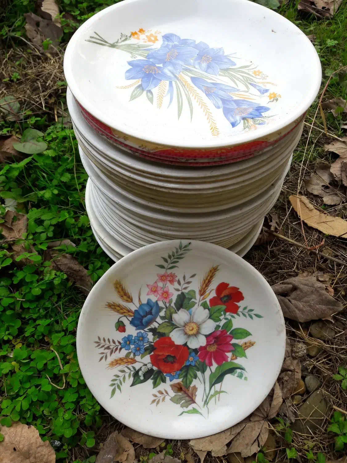 ۳۰عدد بشقاب ۴۰ عدد کاسه خورشت خوری|ظروف سرو و پذیرایی|ماکلوان, |دیوار