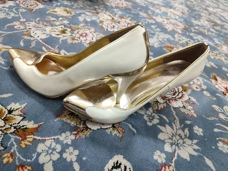 کفش مجلسی|کیف، کفش، کمربند|جوانرود, |دیوار