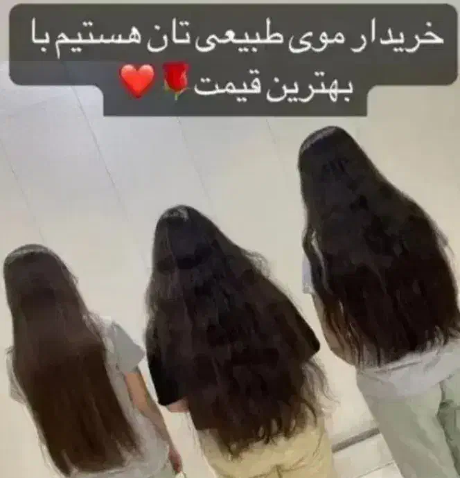 (فروش)خریدار اصلی مو|آرایشی، بهداشتی، درمانی|قم, زنبیل آباد|دیوار