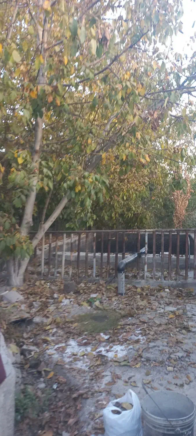 ۱۲۰۰ متر دربست توس۱۵۹ رهن واجاره|اجارهٔ خانه و ویلا|مشهد, امین آباد|دیوار