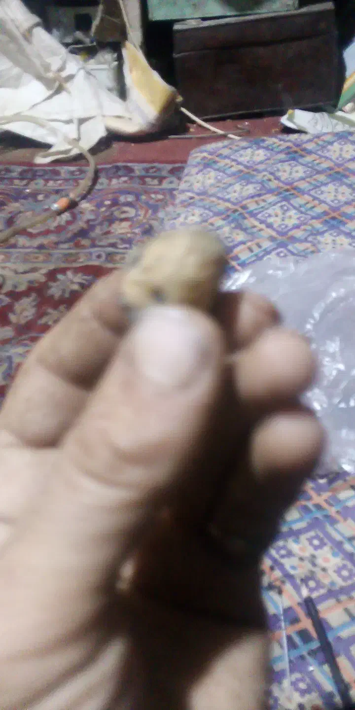 سنگ.شهاب|کلکسیون و سرگرمی|درح, |دیوار