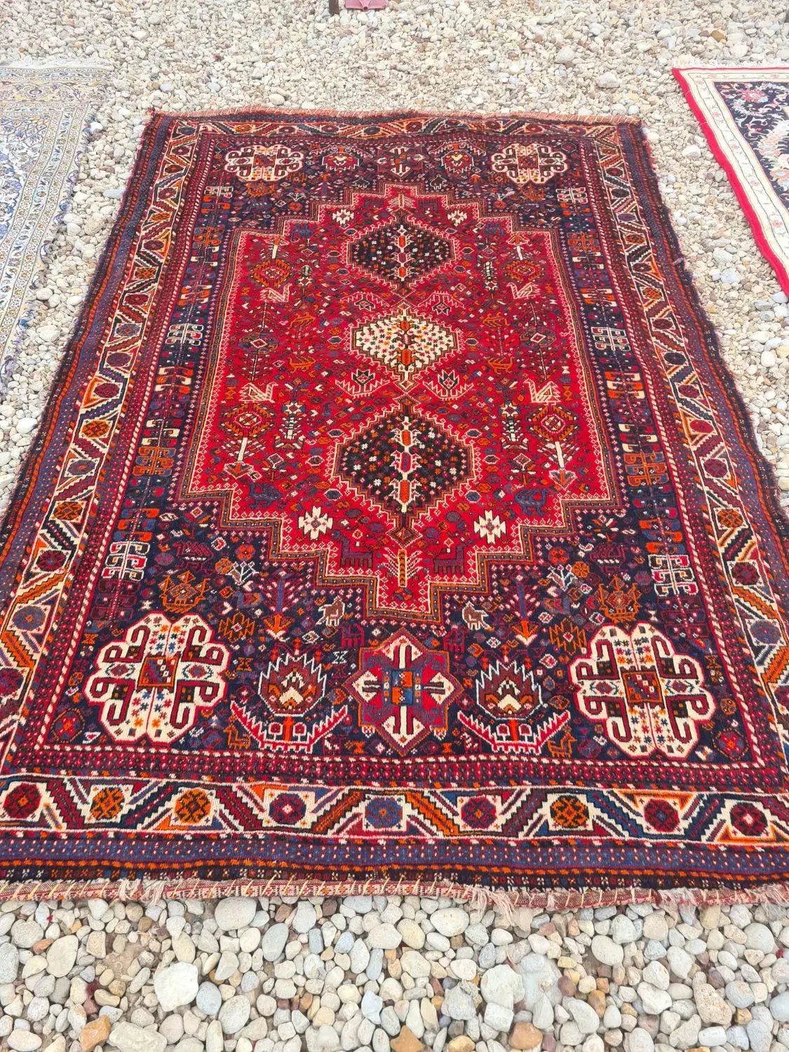 فرش|فرش|شیراز, شاه قلی بیگی|دیوار