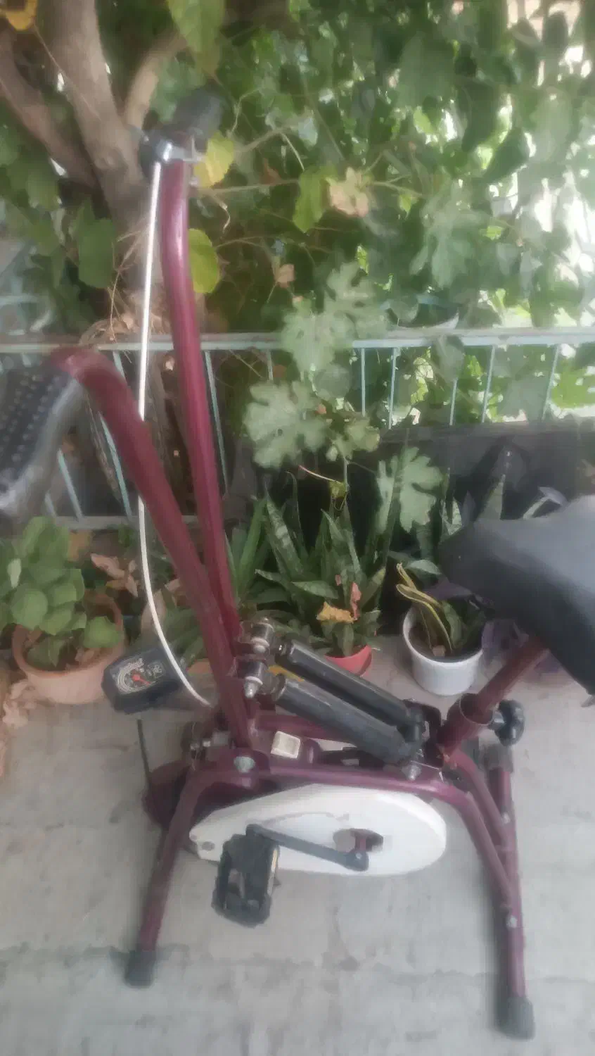 دوچرخه ثابت|دوچرخه، اسکیت، اسکوتر|معصومیه, |دیوار