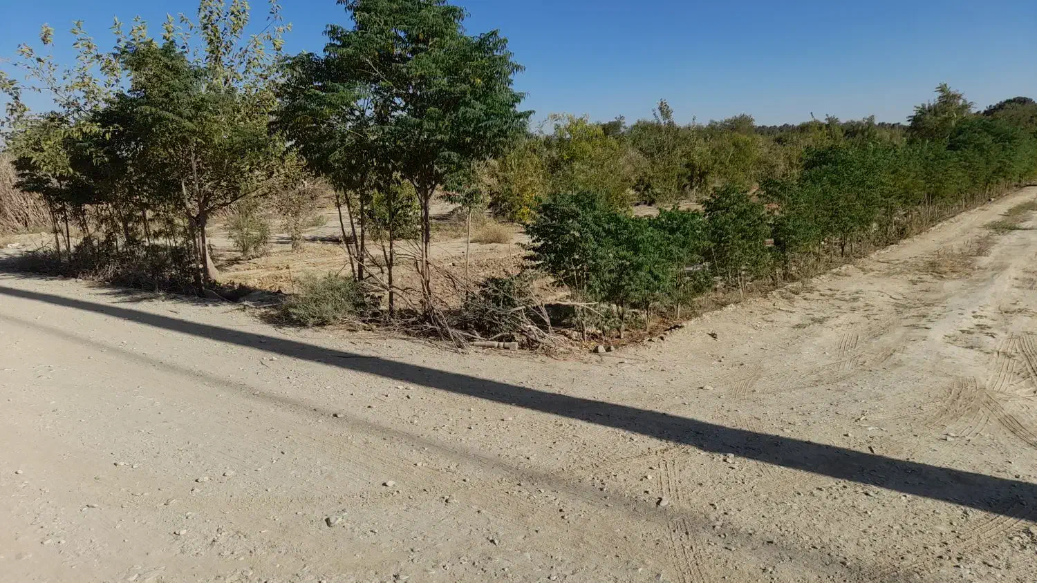 باغچه به متراژ۵۰۰متر‌‌‌‌        به ابعاد۵۰×۱۰|فروش زمین و ملک کلنگی|چهاردانگه (تهران), |دیوار