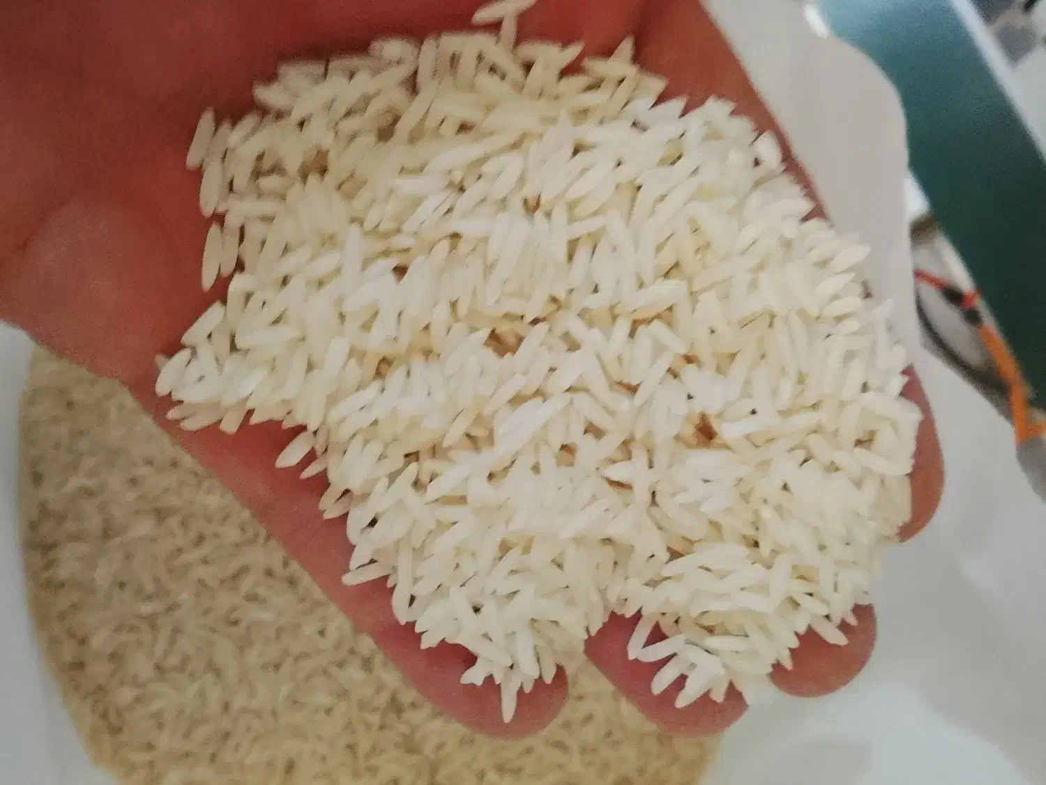 برنج فروشی|خوردنی و آشامیدنی|رضوانشهر, |دیوار