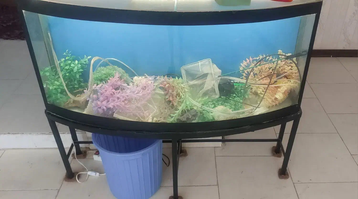 آکواریوم باتمام وسایل|ماهی|سهند, |دیوار